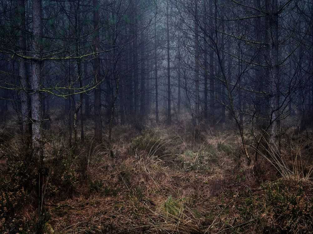 Ellie Davies, ‘Stillness 4 (Small)’, 2020, Print, Archival pigment print, null, 