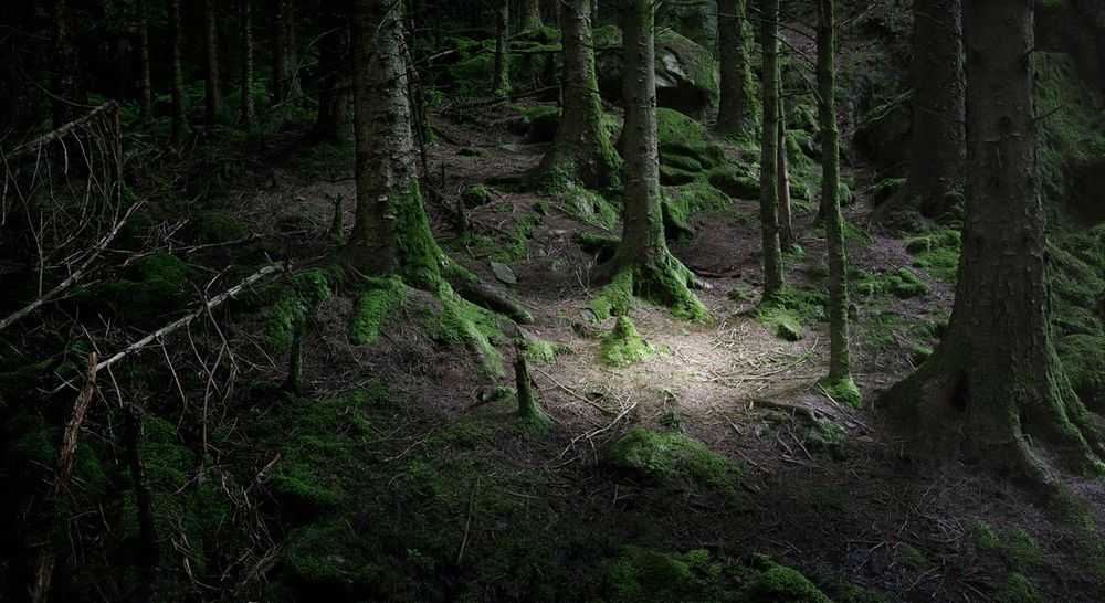 Ellie Davies, ‘The Gloaming 3 (Large)’, 2011, Print, C-Type Lightjet Print, null, 