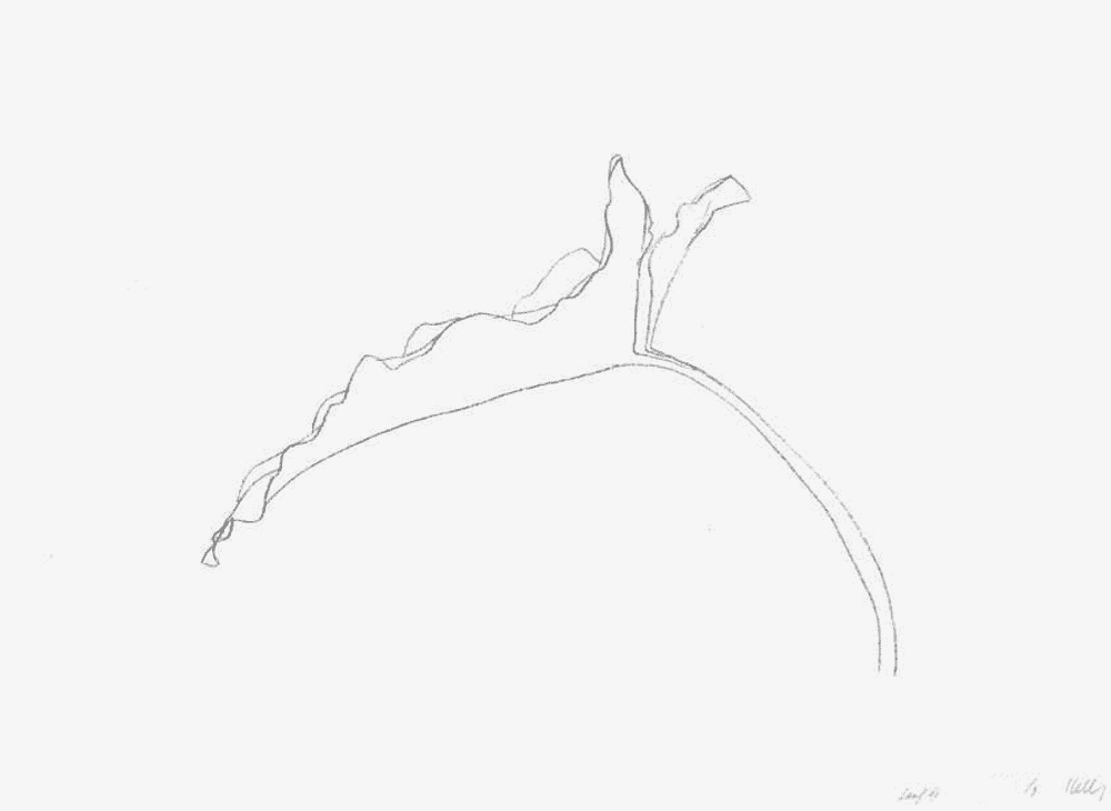 Ellsworth Kelly, ‘Leaf VII’, 1978, Print, Lithograph, Gemini G.E.L., Numbered