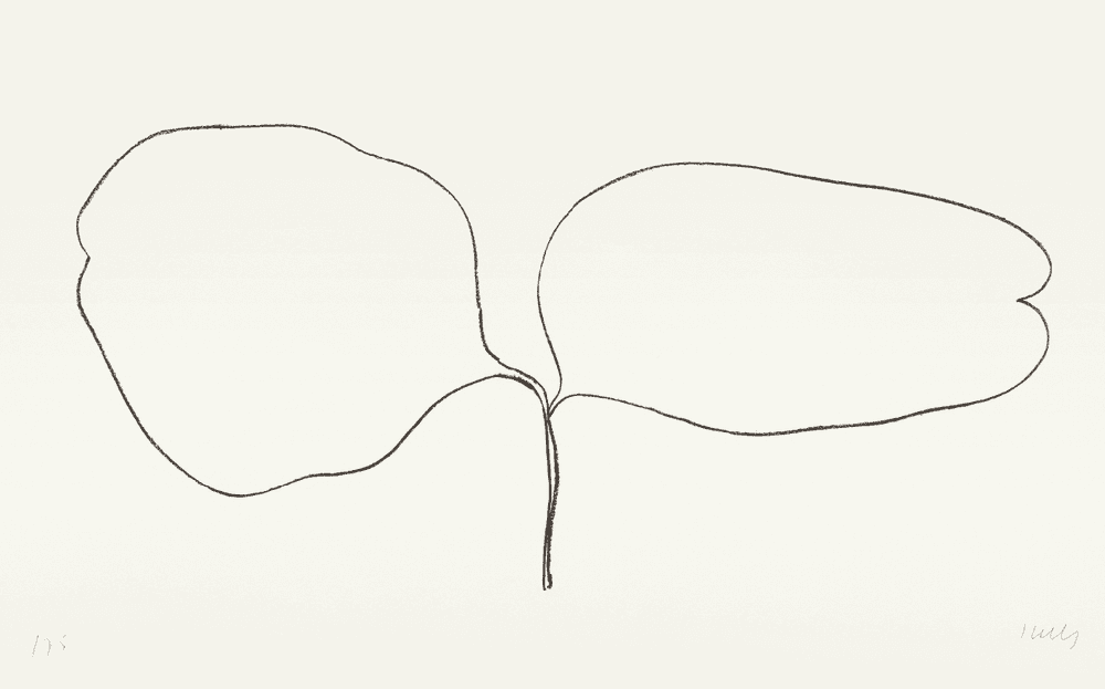 Ellsworth Kelly, ‘Locust’, 1966, Print, Lithograph on Rives BFK white paper, null, Numbered