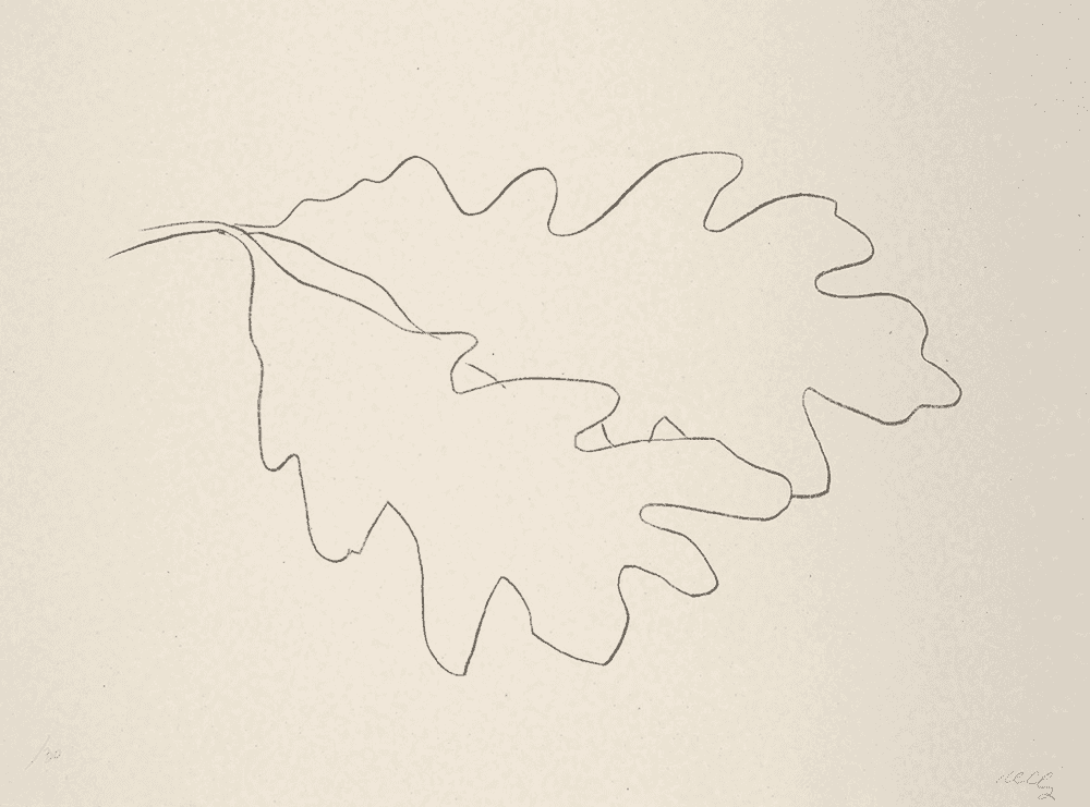Ellsworth Kelly, ‘Oak VII’, 1992, Print, Lithograph on Koller HMP tan canvas handmade paper, null, Numbered
