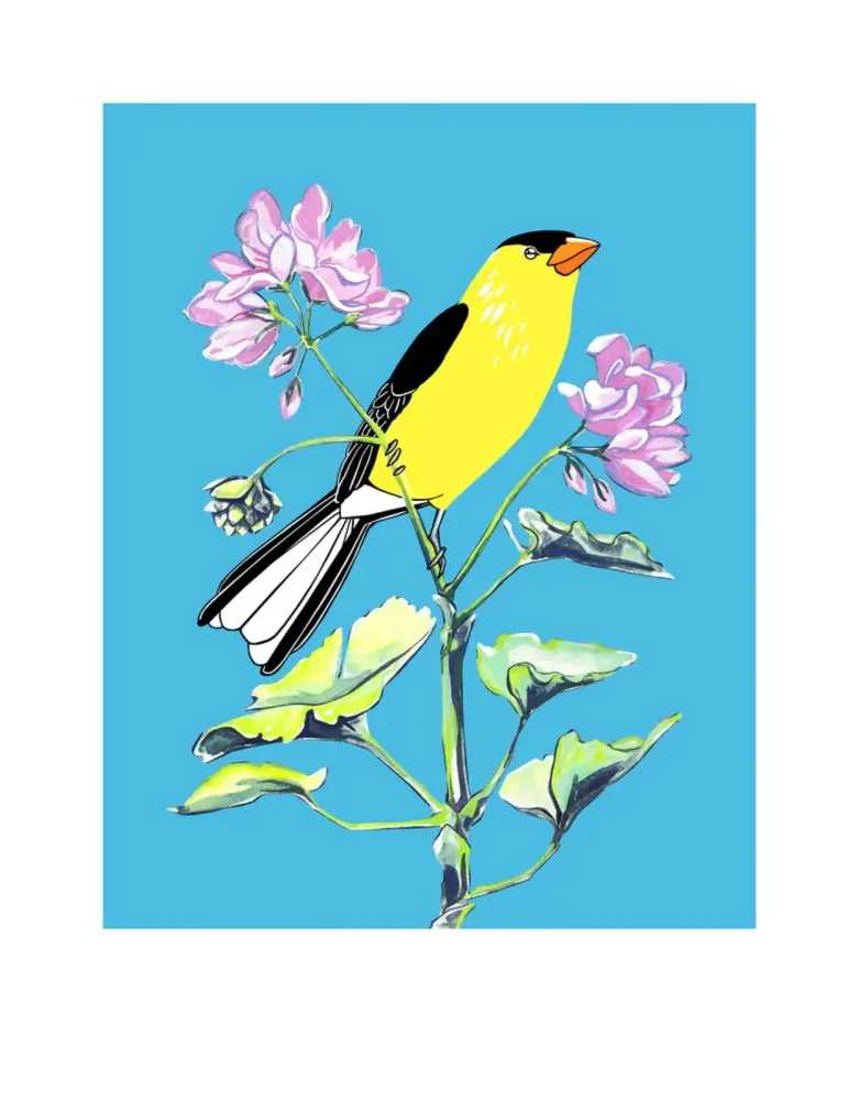 Fran Giffard, ‘American Goldfinch and Geranium’, 2021, Print, Archival inkjet on Somerset Satin 330 gsm paper, null, Numbered