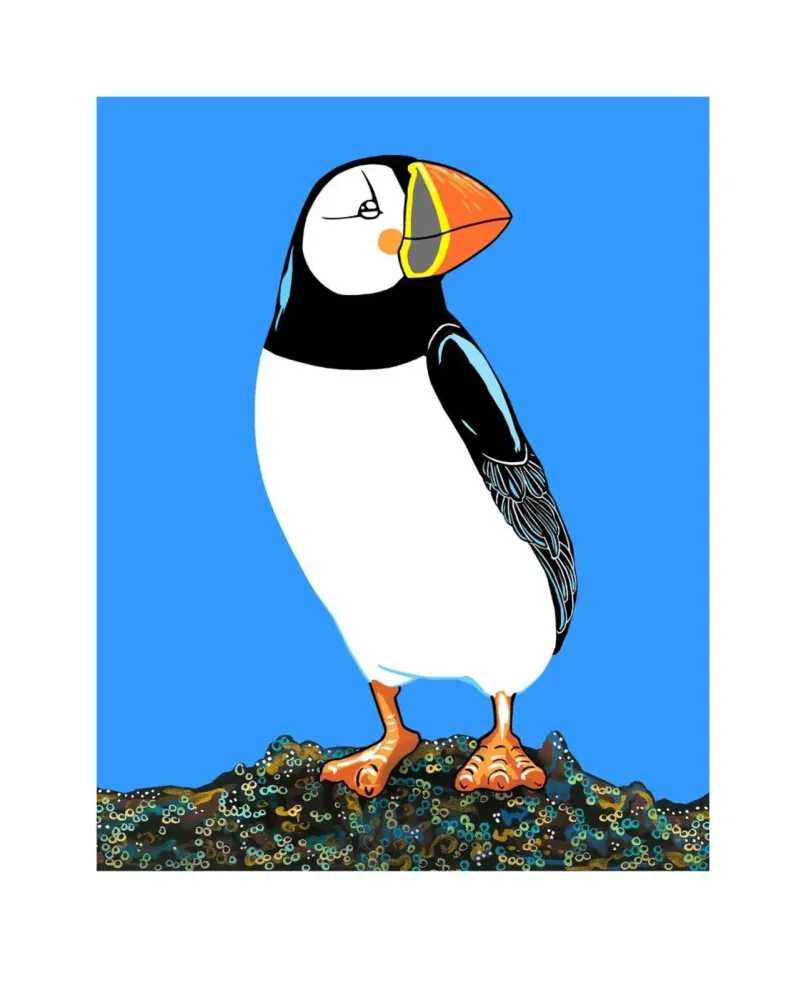 Fran Giffard, ‘Atlantic Puffin’, 2021, Print, Archival inkjet on Somerset Satin 330 gsm paper, null, Numbered