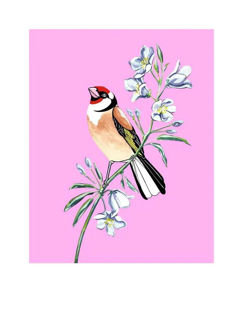 Fran Giffard, ‘Goldfinch and Bellflower’, 2021, Print, Archival inkjet on Somerset Satin 330 gsm paper, null, Numbered