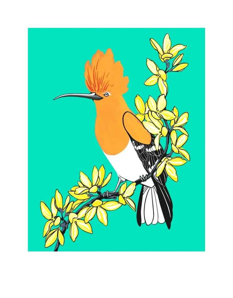 Fran Giffard, ‘Hoopoe and Forsythia’, 2021, Print, Archival inkjet on Somerset Satin 330 gsm paper, null, Numbered