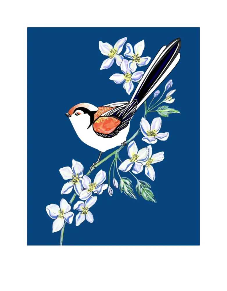 Fran Giffard, ‘Long Tailed Tit and Clematis’, 2021, Print, Archival inkjet on Somerset Satin 330 gsm paper, null, Numbered