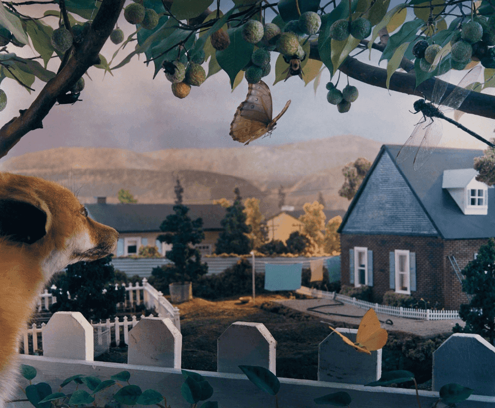 Gregory Crewdson, ‘Natural Wonder’, 1991, Photography, Chromogenic print, null, Numbered, Dated
