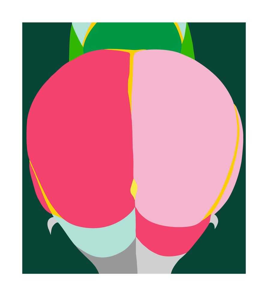 Helen Beard, ‘Pink Moon’, 2021, Print, Silkscreen on Somerset Tub 410gsm, Reflex Amsterdam, Numbered