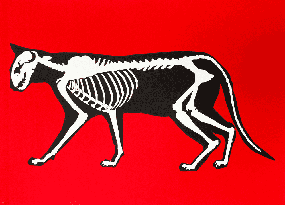 Hijack, ‘Skeleton Cat’, 2022, Print, Original Screen Print in Colors on Paper, null, Numbered