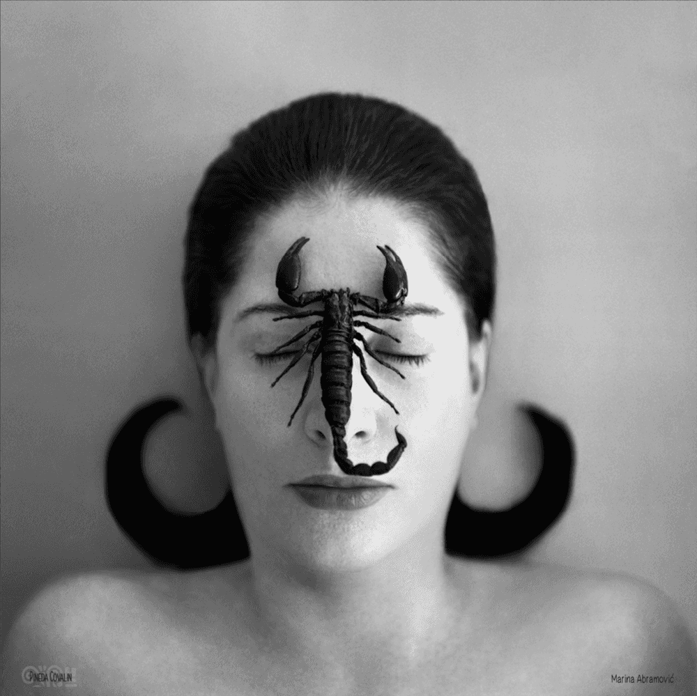 Marina Abramovic, ‘Homage to Frida Kahlo - Portrait with Scorpion’, 2014, Print, Silkscreen on 100% Silk (Hand signed in indelible marker by Marina Abramovic), null, 