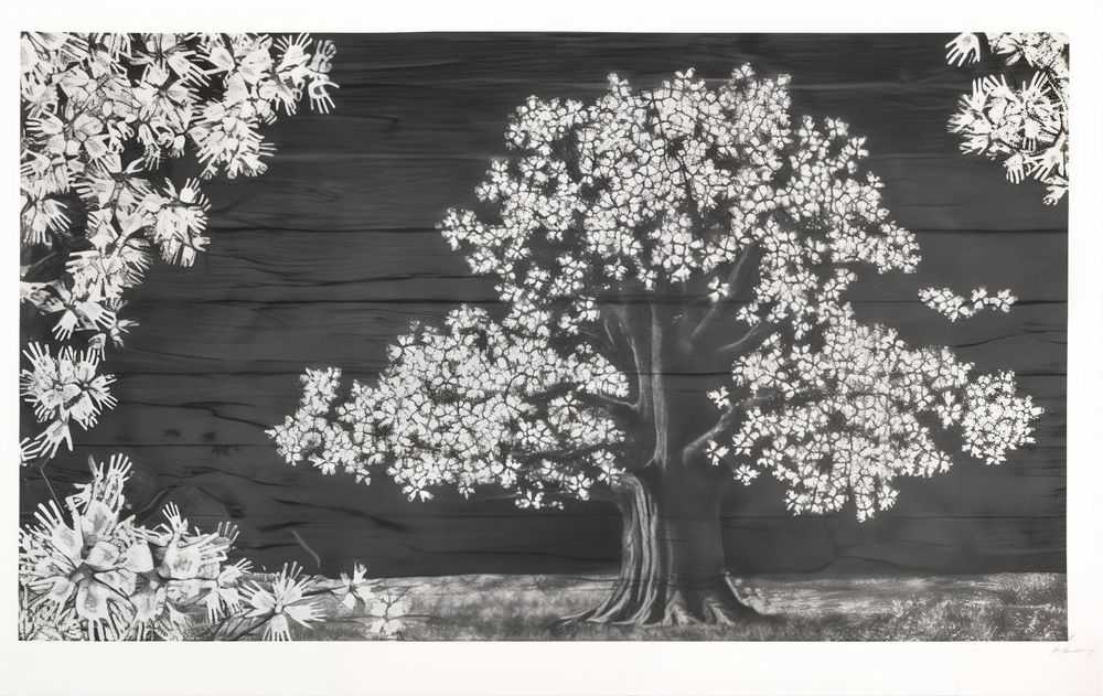 JR, ‘Adventice, Montpellier, France’, 2025, Print, White paper BFK Rives - 270 grams, Atelier JR, Numbered