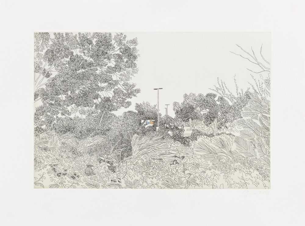 Jake Longstreth, ‘Scottsdale’, 2024, Print, Etching and relief print with hand finishing, Pace Prints, Numbered