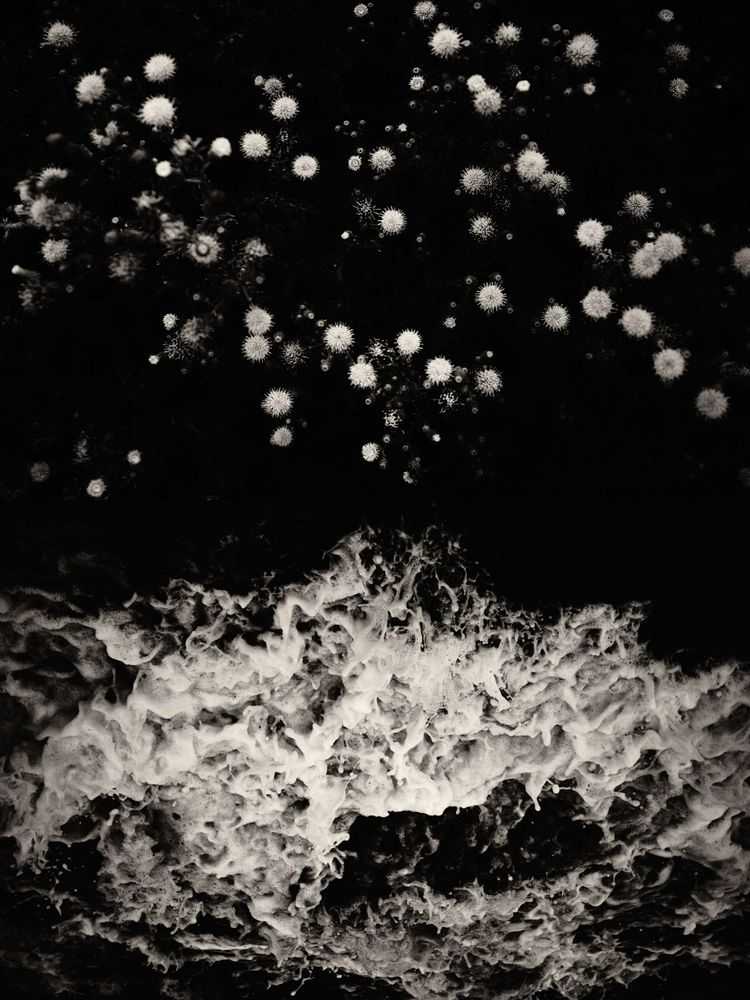 Jaume Llorens Bach, ‘Gaia Diptych 10 (Small)’, 2025, Print, Black And White Print, null, Numbered