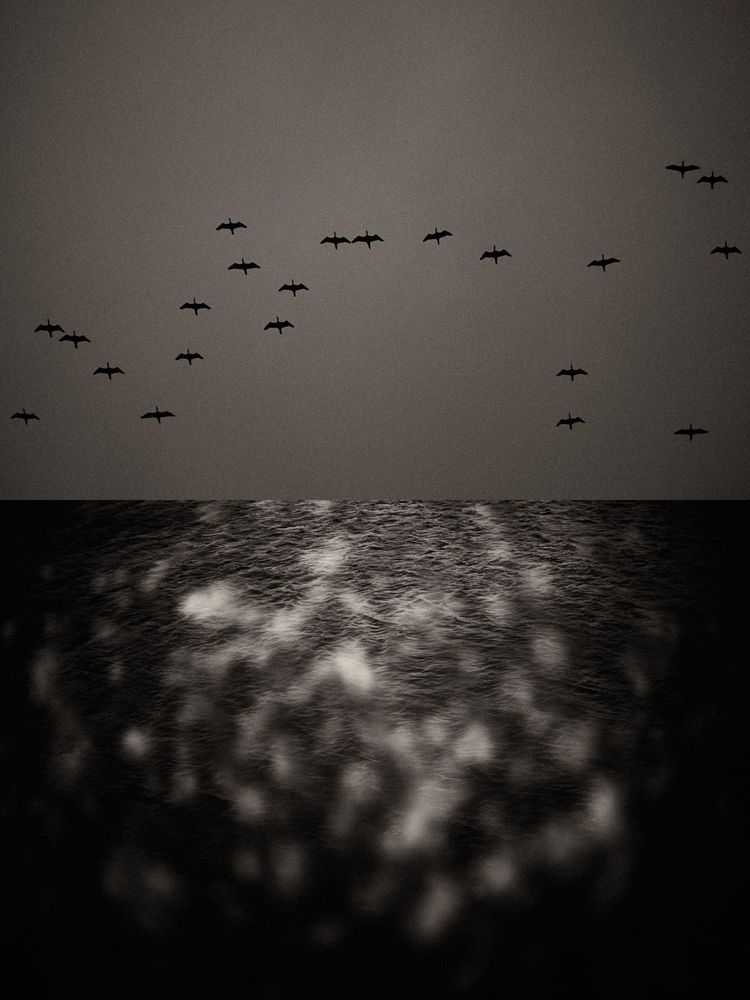 Jaume Llorens Bach, ‘Gaia Diptych 114 (Small)’, 2023, Print, Black And White Print, null, Numbered