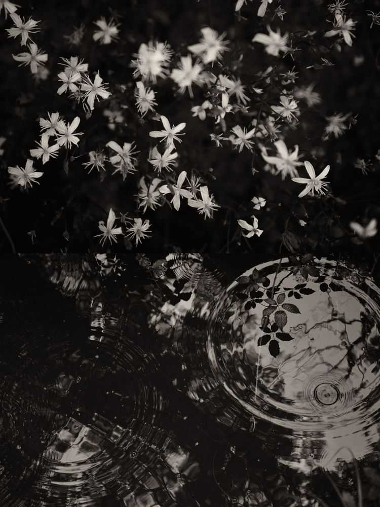 Jaume Llorens Bach, ‘Gaia Diptych 151 (Large)’, 2025, Print, Black And White Print, null, Numbered