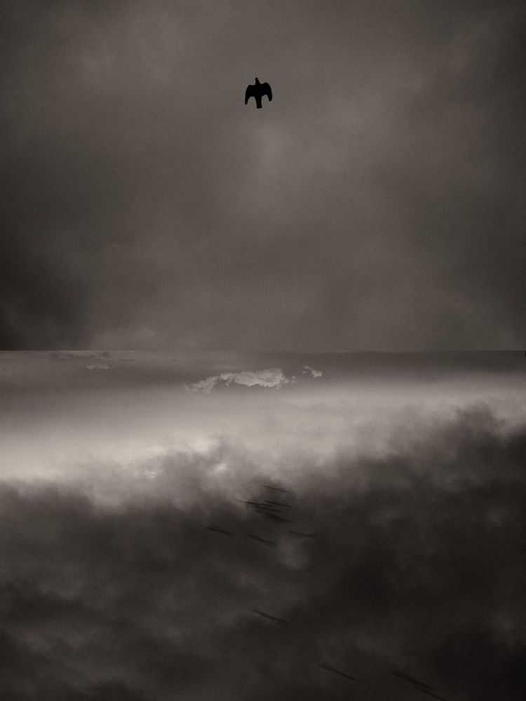 Jaume Llorens Bach, ‘Gaia Diptych 173 (Small)’, 2025, Print, Black And White Print, null, Numbered