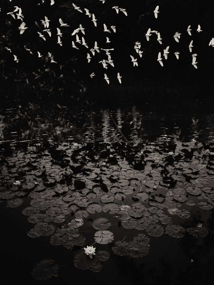 Jaume Llorens Bach, ‘Gaia Diptych 19 (Large)’, 2023, Print, Black And White Print, null, Numbered