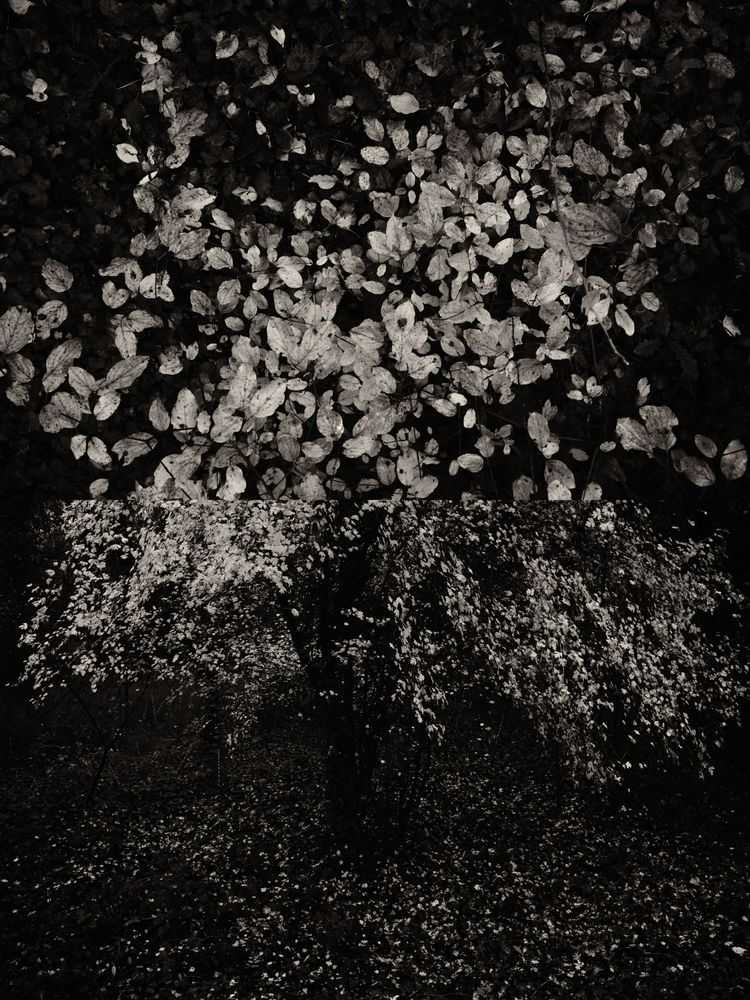 Jaume Llorens Bach, ‘Gaia Diptych 21 (Small)’, 2023, Print, Black And White Print, null, Numbered