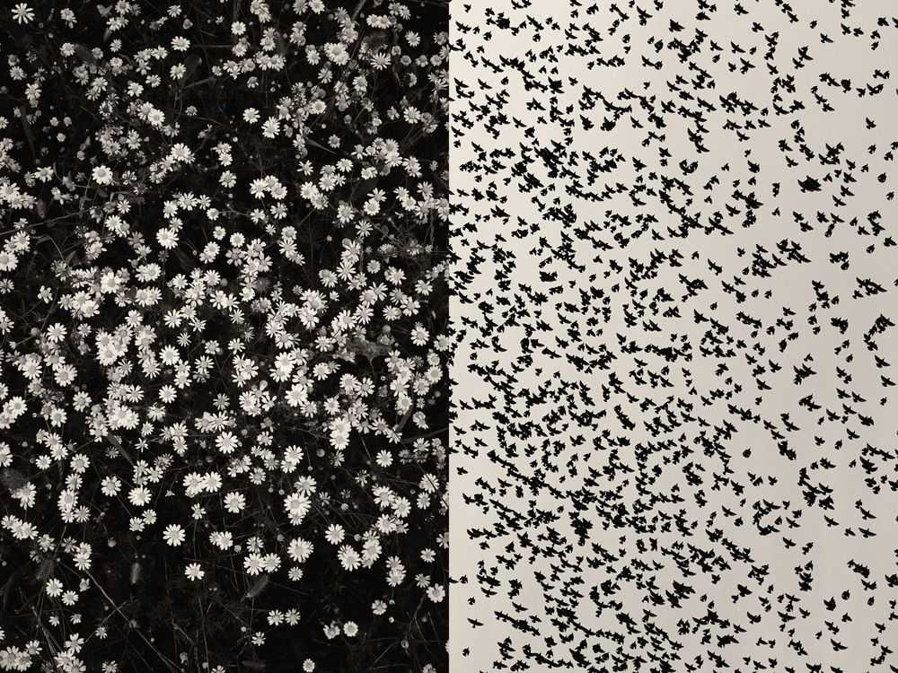 Jaume Llorens Bach, ‘Gaia Diptych 31 (Large)’, 2023, Print, Black And White Print, null, Numbered