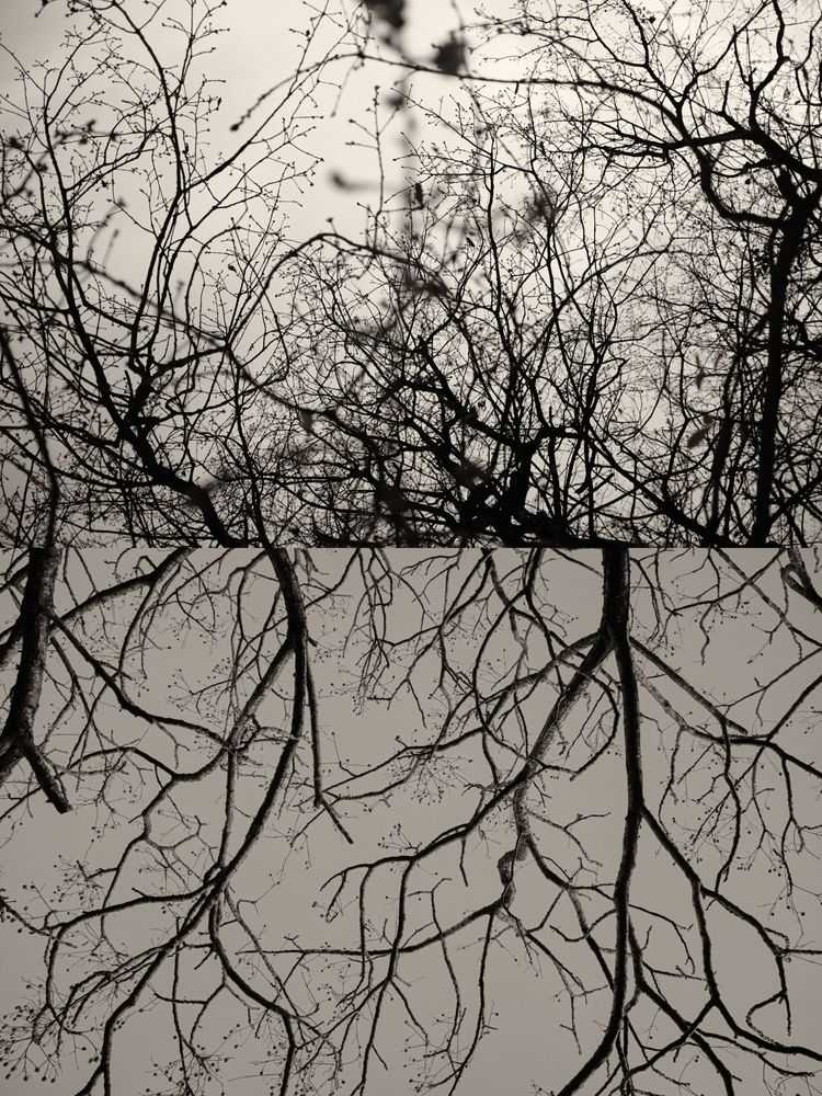 Jaume Llorens Bach, ‘Gaia Diptych 48 (Large)’, 2023, Print, Black And White Print, null, Numbered
