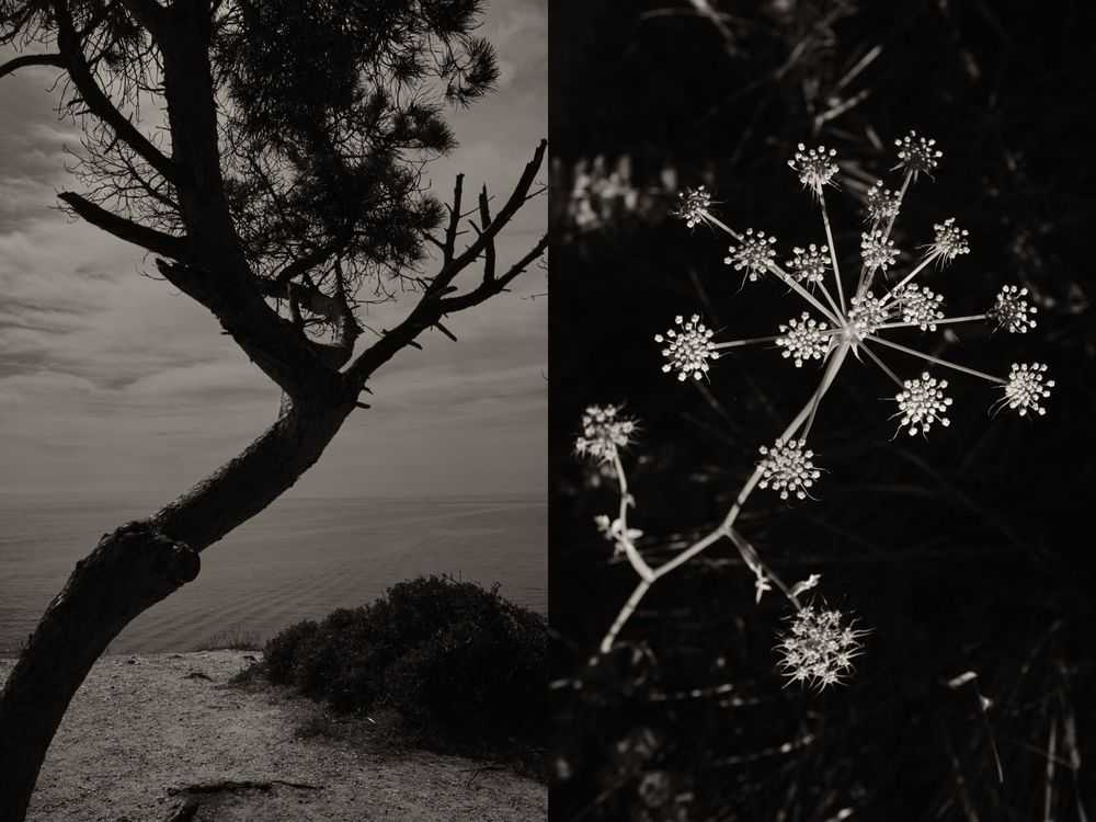 Jaume Llorens Bach, ‘Gaia Diptych 53 (Small)’, 2023, Print, Black And White Print, null, Numbered