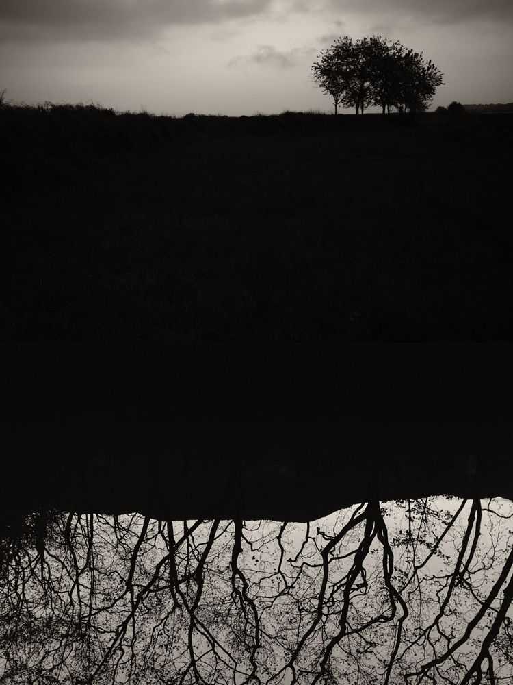 Jaume Llorens Bach, ‘Gaia Diptych 5 (Small)’, 2025, Print, Black And White Print, null, Numbered