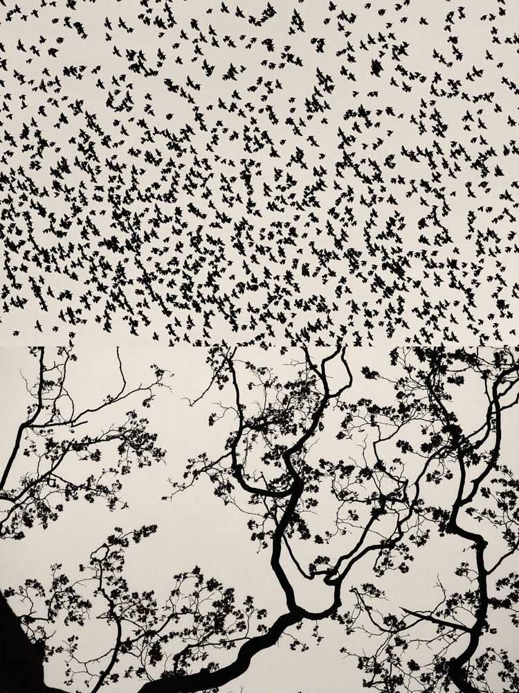 Jaume Llorens Bach, ‘Gaia Diptych 72 (Small)’, 2023, Print, Black And White Print, null, Numbered
