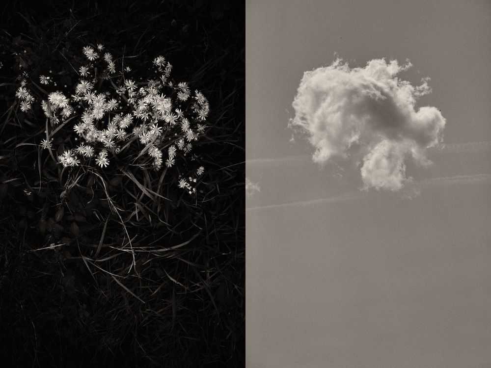 Jaume Llorens Bach, ‘Gaia Diptych 78 (Large)’, 2023, Print, Black And White Print, null, Numbered