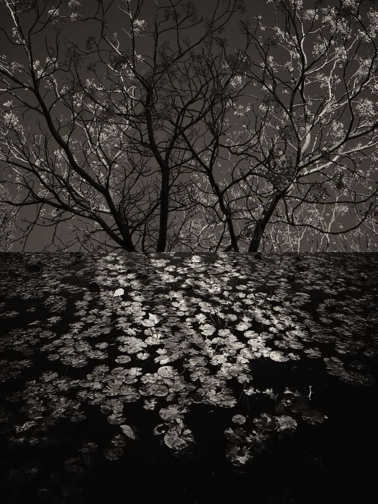 Jaume Llorens Bach, ‘Gaia Diptych 80 (Small)’, 2025, Print, Black And White Print, null, Numbered