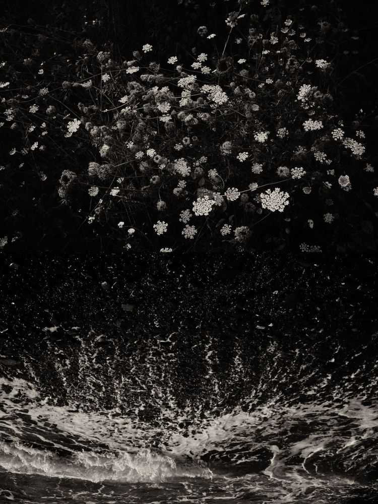 Jaume Llorens Bach, ‘Gaia Diptych 98 (Small)’, 2023, Print, Black And White Print, null, Numbered