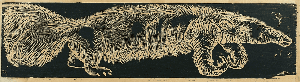 Jim Dine, ‘Anteater’, 1955, Print, Woodcut on Japanese paper (framed), null, Numbered, Dated