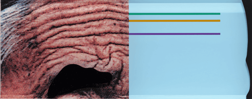 John Baldessari, ‘Crooked Made Straight’, 2009, Print, 9-color silkscreen print on plexiglass, Parkett Publishers, Numbered