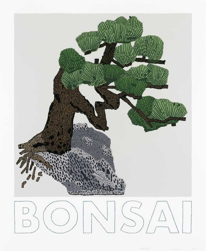 Jonas Wood, ‘Bonsai’, 2022, Print, 13-colour screenprint on rising museum board, Printed Matter, Numbered