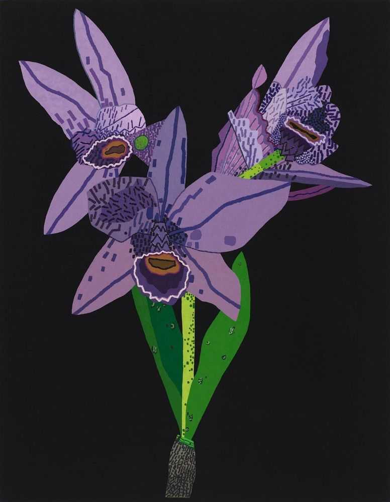 Jonas Wood, ‘Dogface Purple Orchid’, 2022, Print, 41 colour lithograph, Hamilton Press Gallery, Numbered