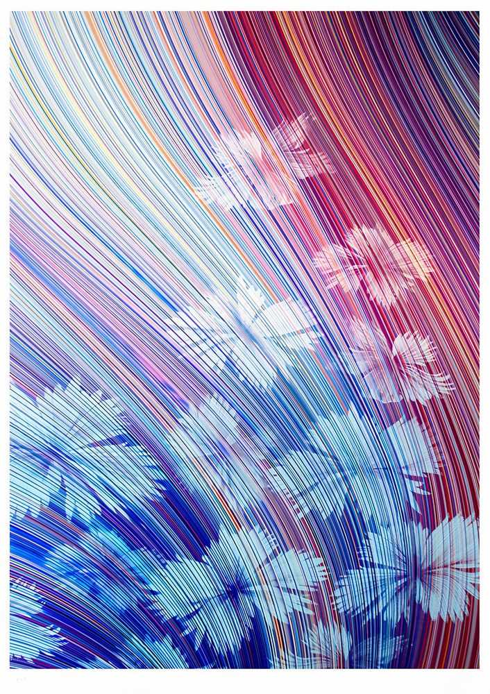 Kai & Sunny, ‘Blue Flowers’, 10-12-2021, Print, Hand Pulled 6 colour screenprint on 100% cotton Somerset radiant white 410gsm, Self-released, Numbered