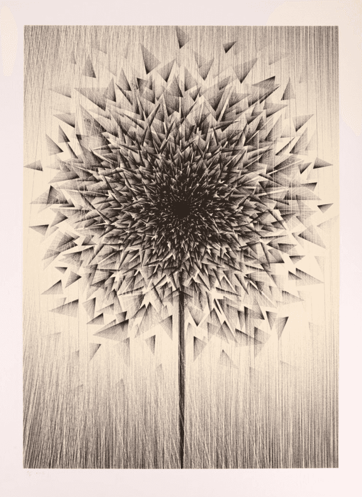 Kai & Sunny, ‘Smashed Dandy (Gold)’, 01-05-2013, Print, Hand pulled 3 colour screenprint with black, gold stardust and copper on 100% cotton somerset satin 300gsm, Self-released, Numbered