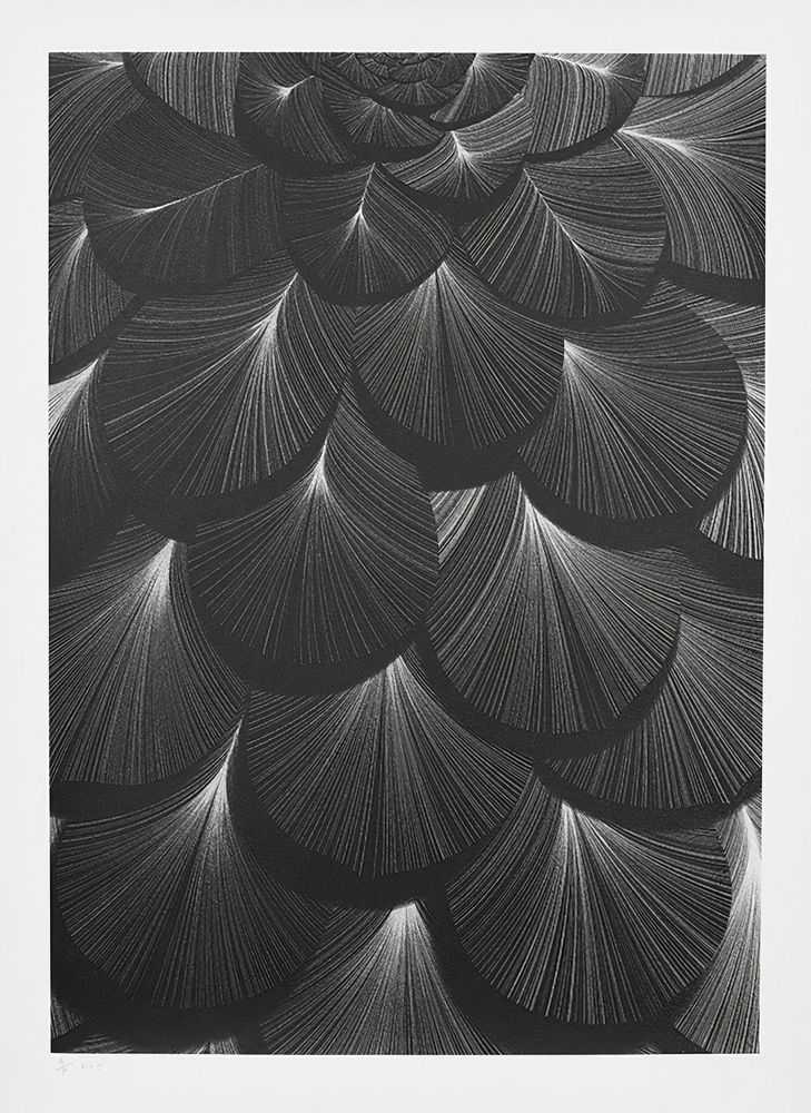 Kai & Sunny, ‘Wild Flower’, 01-09-2012, Print, Hand Pulled 2 Colour Screenprint - White Glitter and Black on 100% Cotton Somerset Satin White 300gsm Paper, Self-released, Numbered