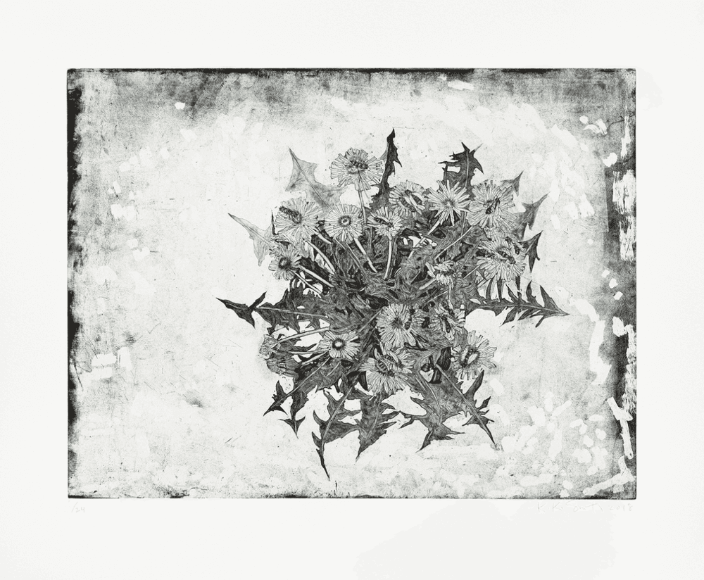 Kiki Smith, ‘Healers’, 2018, Print, Etching, null, Numbered, Dated