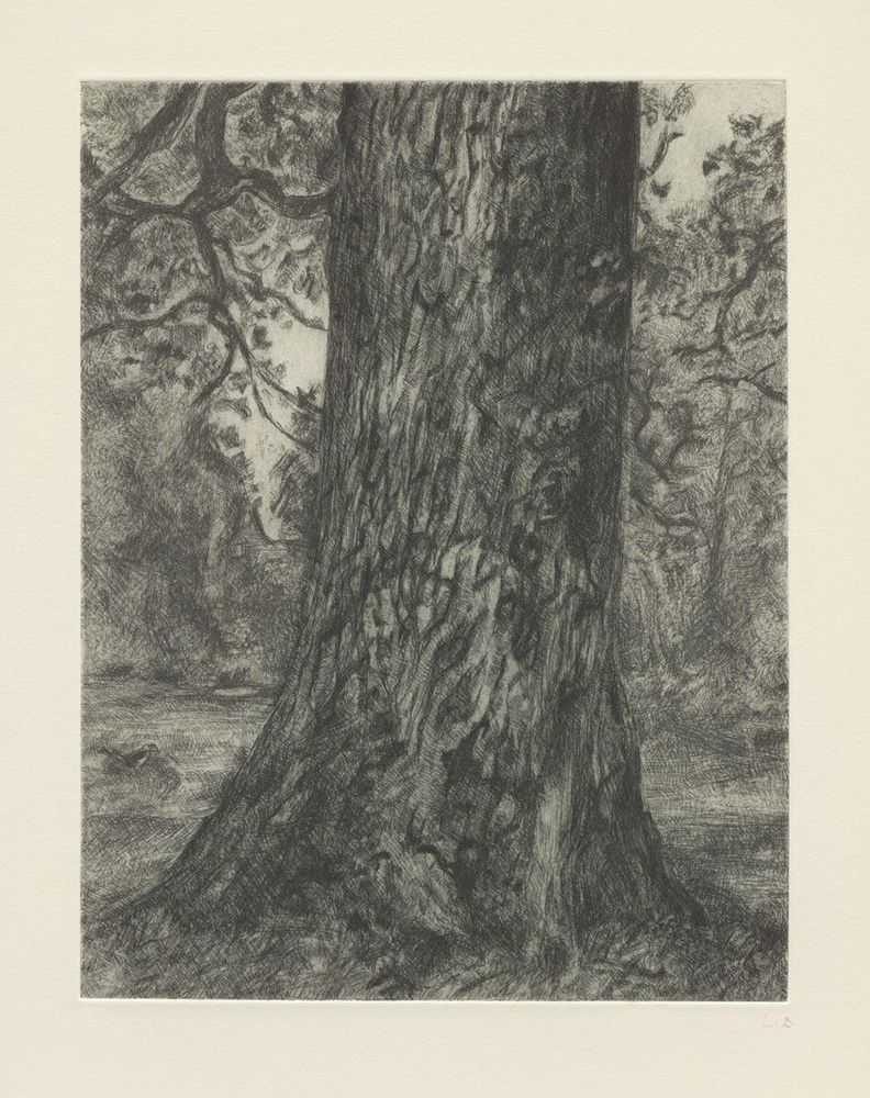 Lucian Freud, ‘After Constable's "Elm"’, 2003, Print, Etching on Somerset Textured White paper, Matthew Marks Gallery, Numbered