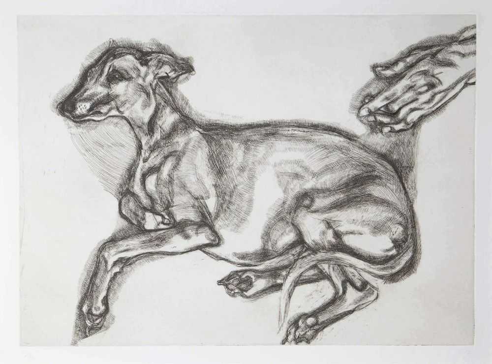 Lucian Freud, ‘Pluto Aged Twelve’, 2000, Print, Etching on Somerset White wove paper, Matthew Marks Gallery, Numbered