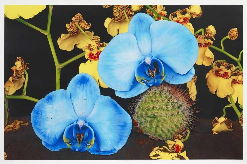 Marc Quinn, ‘Under The Volcano’, 04-05-2012, Print, Digital print with silkscreen glaze. Printed on 330gsm Somerset Satin Enhanced paper, Manifold Editions, Numbered