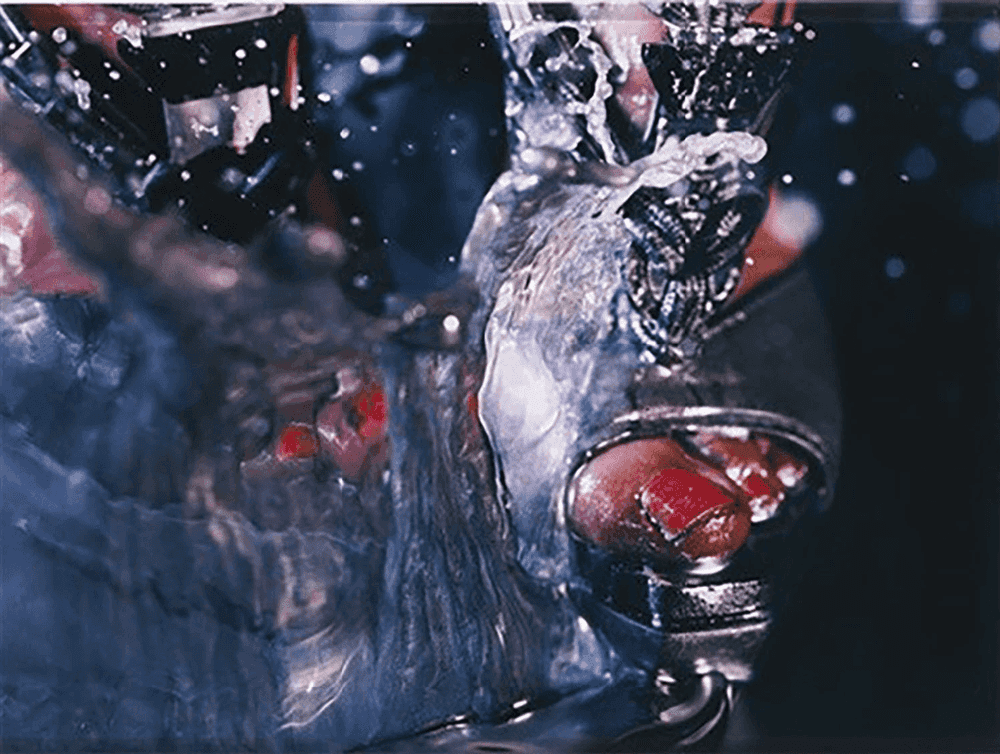 Marilyn Minter, ‘Swell’, 2010, Print, C-print, null, 