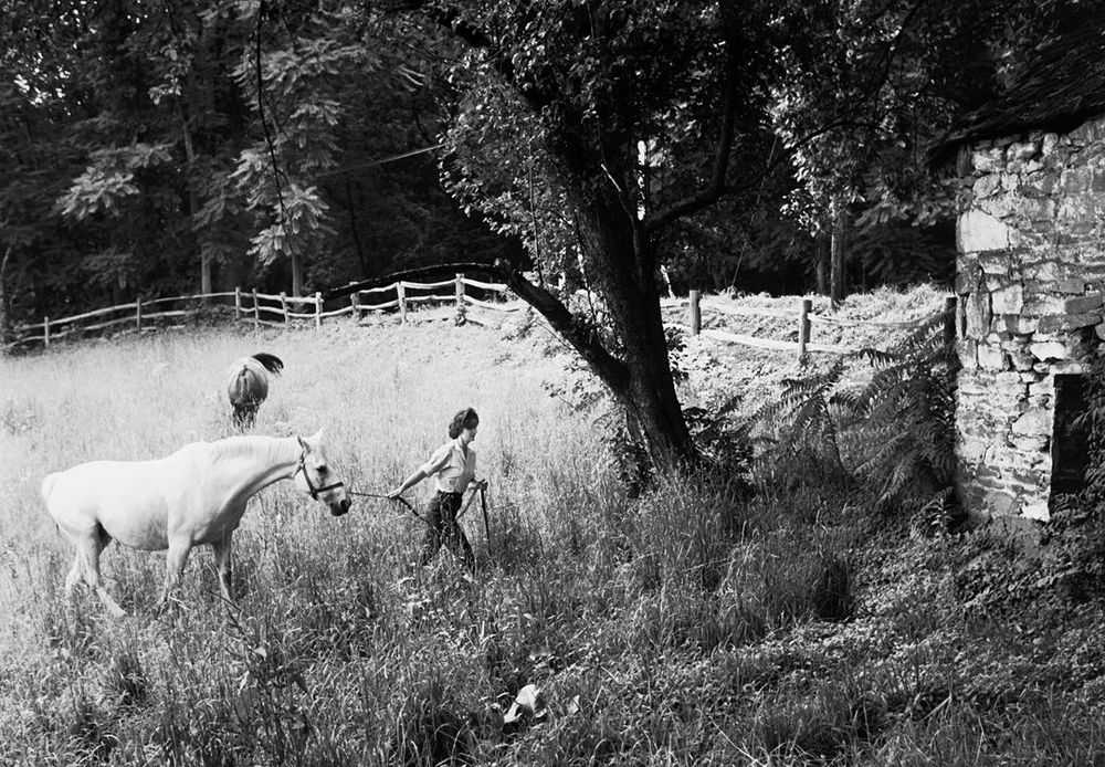 Mark Shaw, ‘Kennedy, Jackie Leads Horse, 1959’, 1959, Print, Pigment print on Hahnemϋhle photo rag paper, null, 