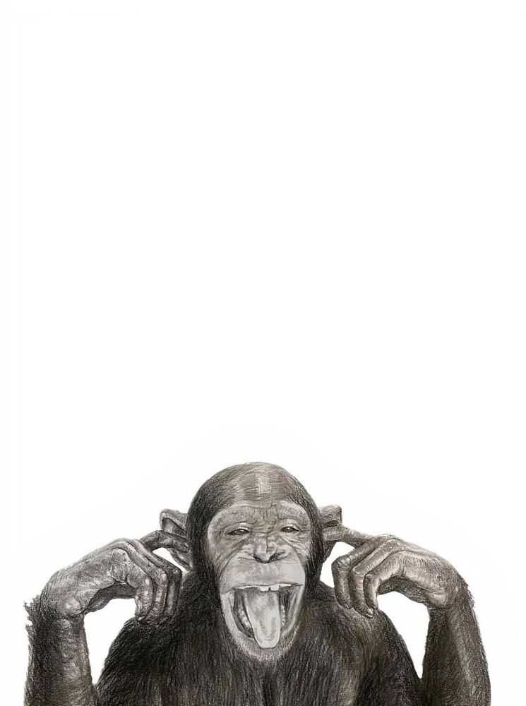 Mason Storm, ‘Forgotten Monkey 12’, 2022, Print, Pigment print on Hahnemuhle German Etching 310gsm, Stowe Gallery, Numbered