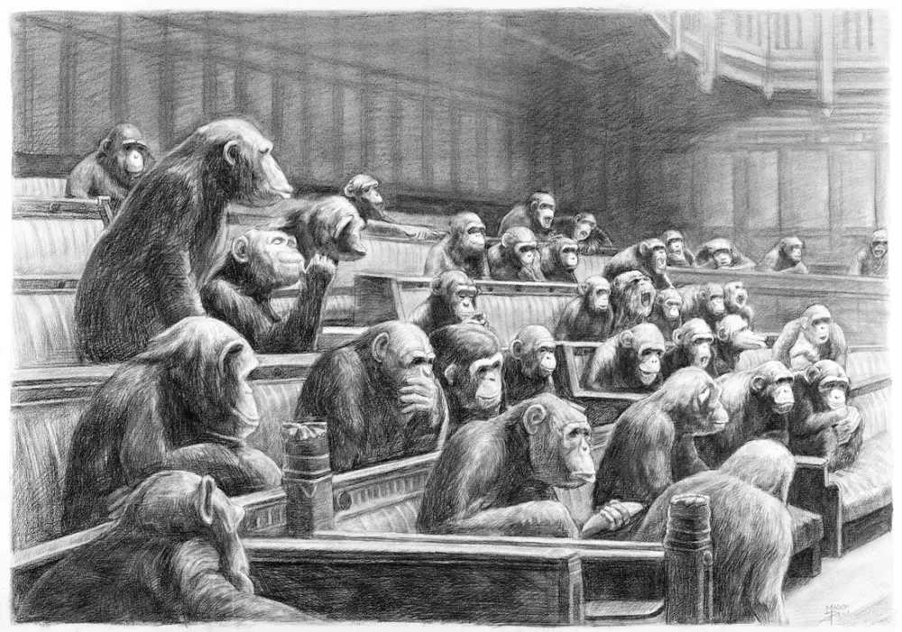 Mason Storm, ‘Parliament III’, 2021, Print, Print on 315gsm Innova Paper, Stowe Gallery, 