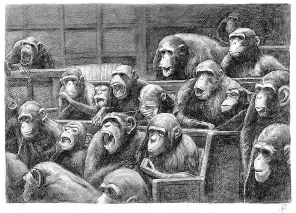 Mason Storm, ‘Parliament IV’, 2021, Print, Print on 315gsm Innova Paper, Stowe Gallery, 