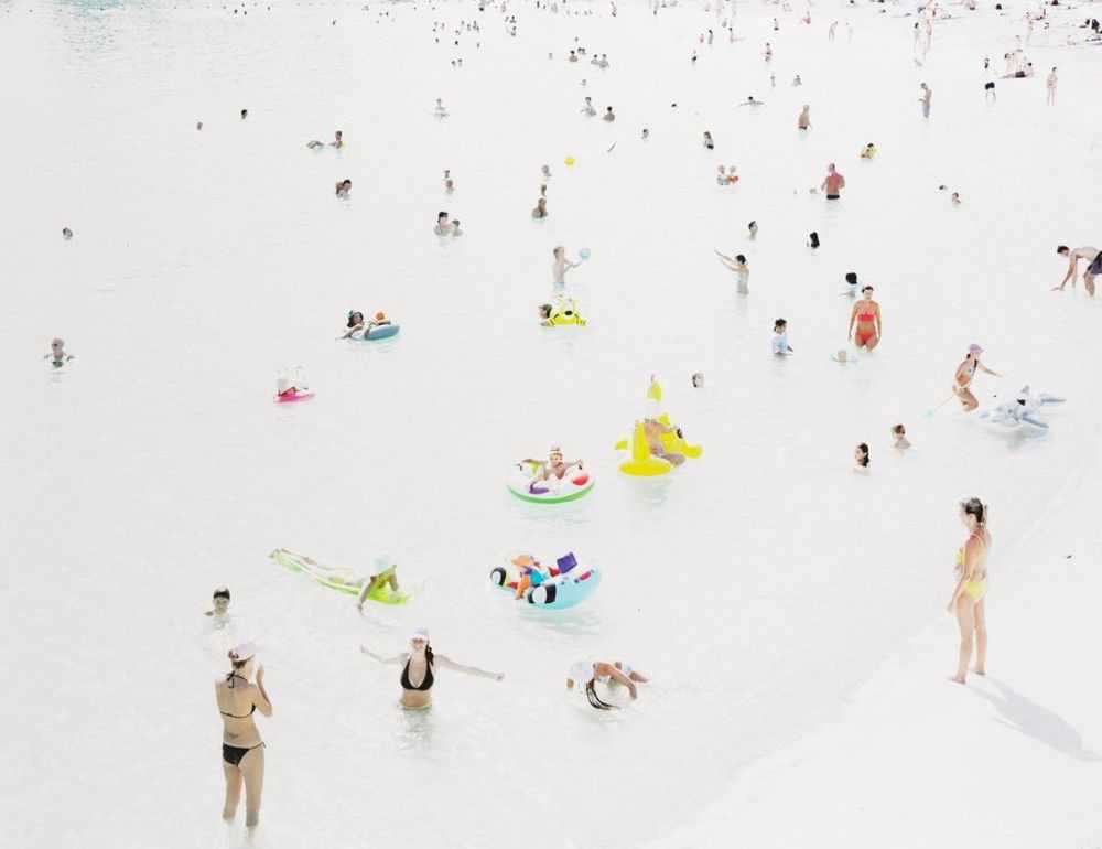 Massimo Vitali, ‘Animaletti 2’, 2006, Photography, Offset lithographs in colours on smooth wove paper, Steidl Verlag, Numbered