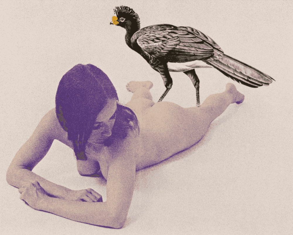 Mel Ramos, ‘Currasow’, 1969, Print, Colour lithograph on Arches, The Collectors Press, 