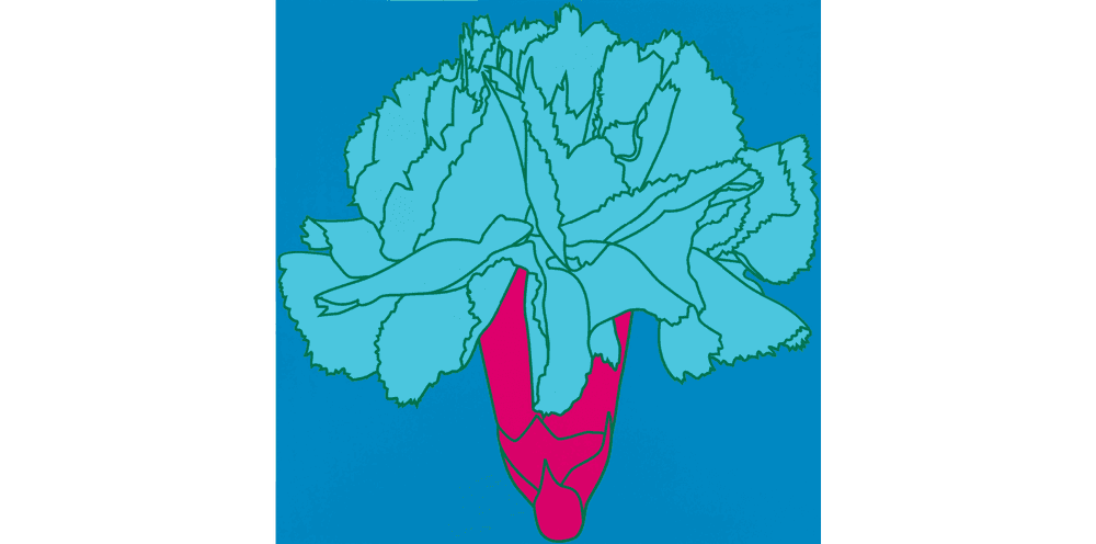Michael Craig-Martin, ‘Flowers - Carnation’, 2023, Print, Screenprint on Somerset Satin White 410gsm paper, Cristea Roberts Gallery, Numbered, Dated