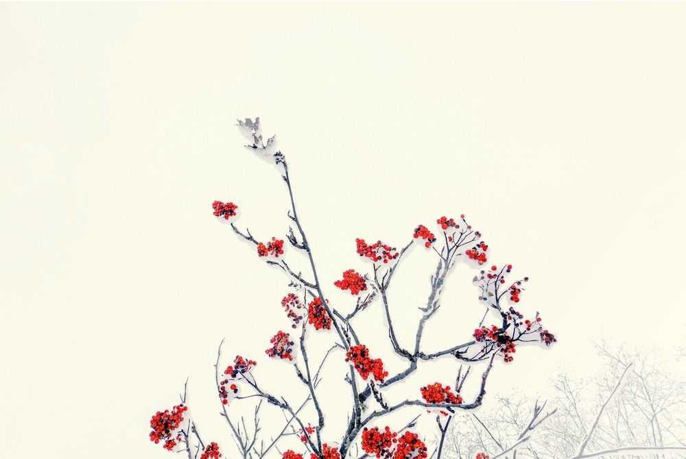 Nick Meek, ‘Argentière, France, 2009 (Small)’, 2009, Print, C-Type Print, null, Numbered